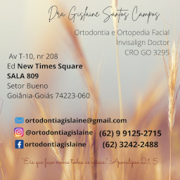 Foto de Gislaine Santos Campos