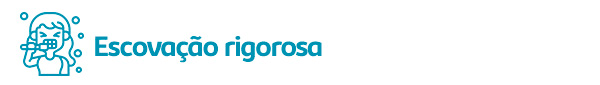 1. Escovação rigorosa